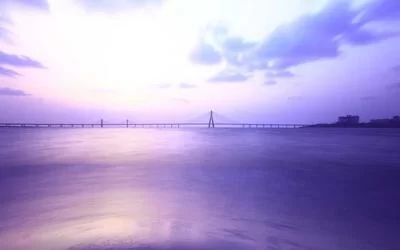 软件授权码